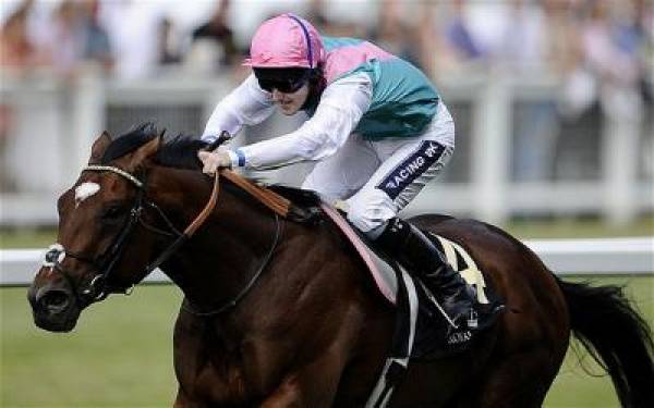 Frankel Odds to Win 2012 Juddmonte International Stakes:  ‘Greatest Horse Ever'