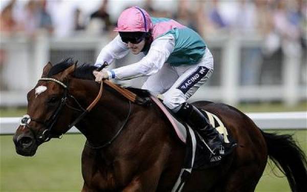 Frankel Huge 1-7 Odds to Win 2012 Juddmonte International Stakes: ‘Greatest Horse Ever’ Frankel Odds to Win 2012 Juddmonte International Stakes: ‘Greatest Horse Ever'