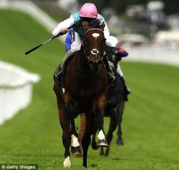 Frankel Injury Said to be Minor