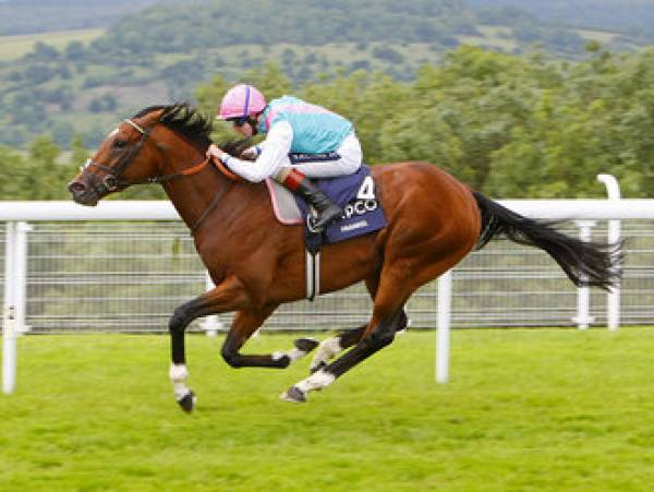 Odds to Win the Queen Elizabeth II Stakes 2011