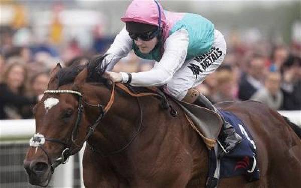 Frankel Wins Juddmonte Stakes at York as 1-7 Favorite