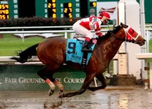 Friesan Fire Kentucky Derby Favorite