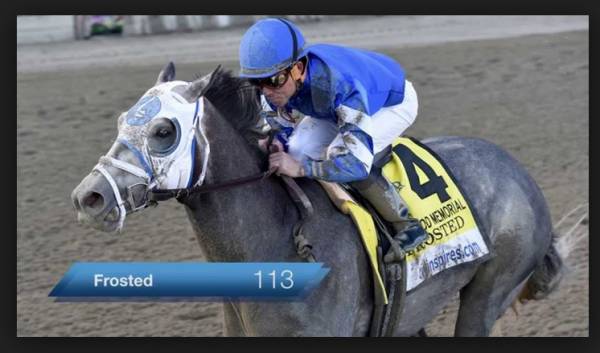 Frosted Odds to Win the Belmont Stakes 