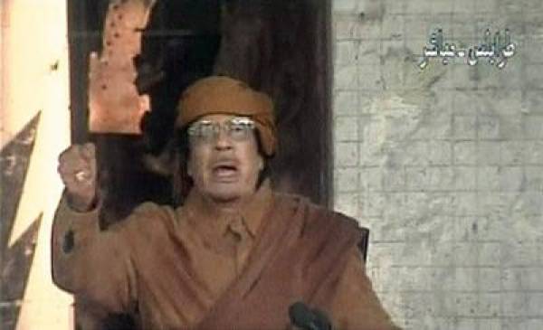 Gaddafi Odds Gaddafi Odds
