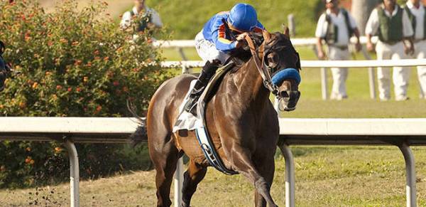 Game On Dude Odds to Win the 2013 Breeders Cup Classic