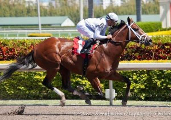 2012 Kentucky Derby Contenders (Post-Post Position Draw) 2012 Kentucky Derby Contenders (Post-Post Position Draw)