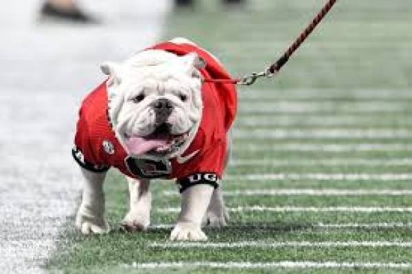 Bet the Georgia Bulldogs vs Tigers Week 3 - 2018: Latest Spread, Odds to Win, Predictions, More 