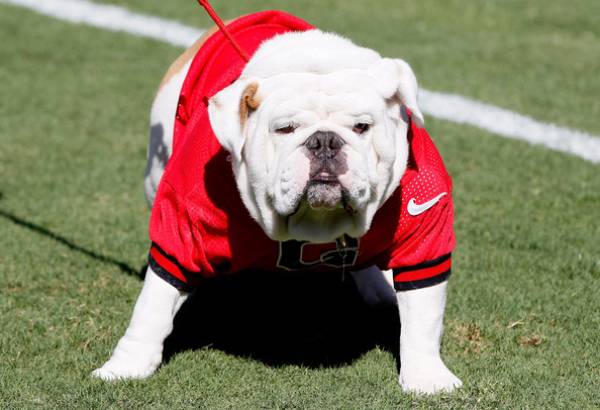 Bulldogs No Longer Favorites Against Crimson Tide 