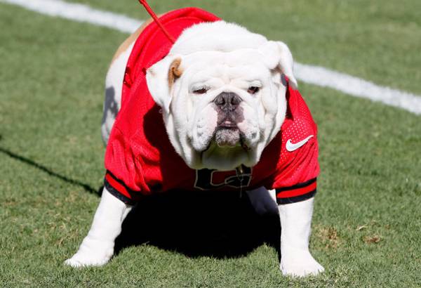 Georgia Bulldogs 2018 College Football Win Loss Odds Prediction