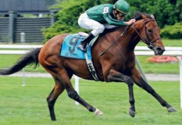 Arlington Million Payouts Odds 2011