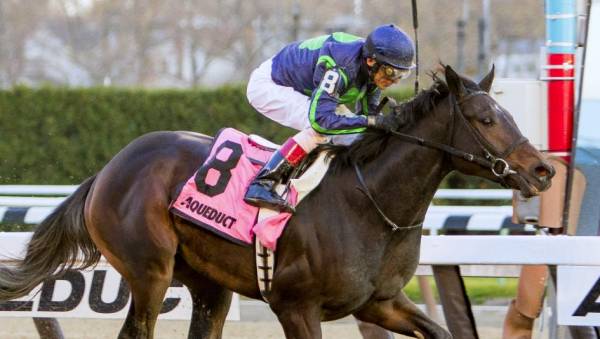 2017 Kentucky Derby Predictions: Girvin