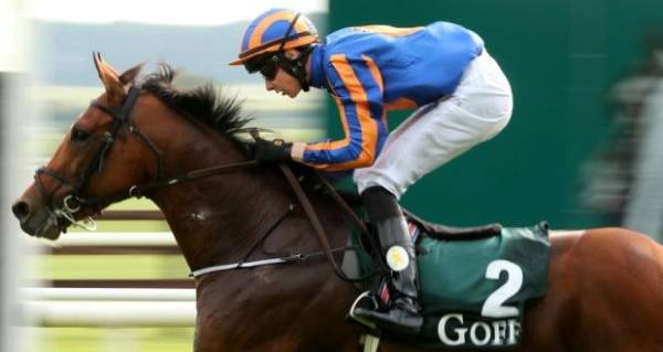 GlenEagles Payout Odds to Win the 2015 Breeders Cup Classic 