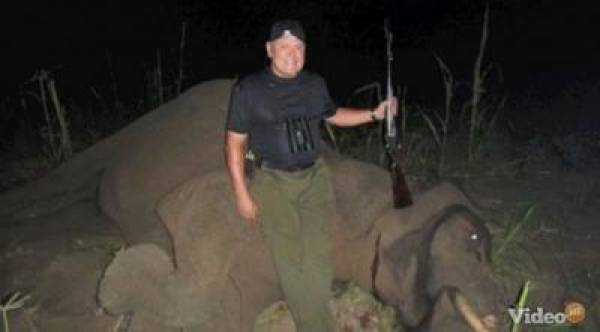 GoDaddy.com Elephant Killer GoDaddy.com Elephant Killer