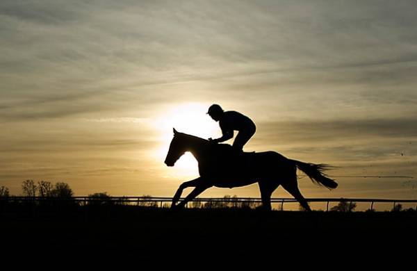 Can I Bet Online at TwinSpires From Louisiana?