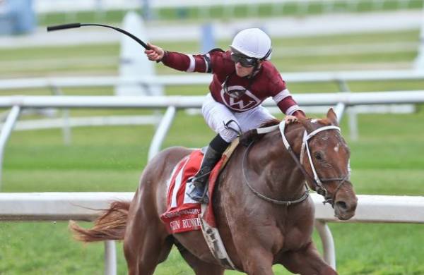 Gun Runner Favorite to Win 2018 Pegasus World Cup