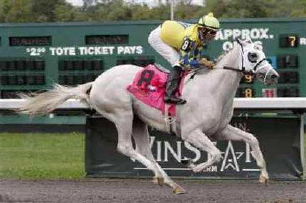 Gotham Stakes 2012 Odds