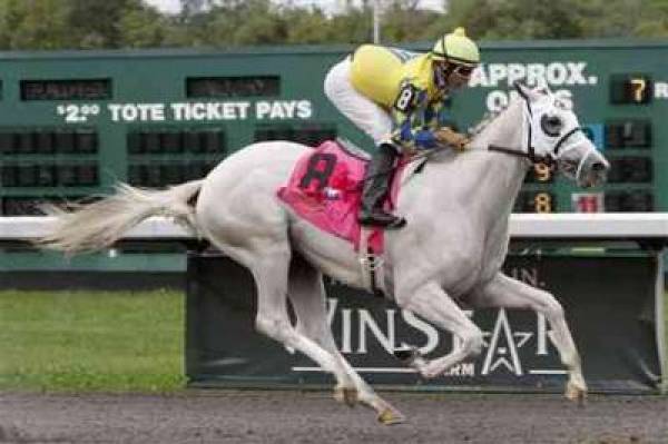 Gotham Stakes 2012 Odds