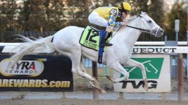 Arkansas Derby and Blue Grass Stakes Picks – 2012 (Video)