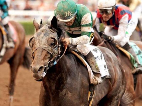 Hard Aces Payout Odds to Win the 2015 Breeders Cup Classic 