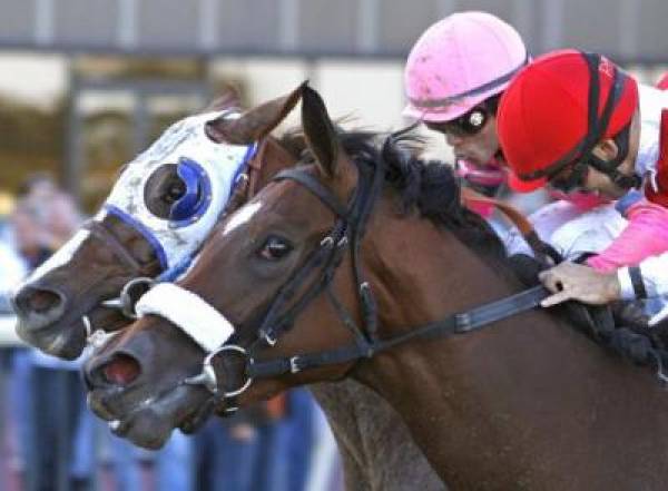 Favorites to Win 2011 Breeders Cup Favorites to Win 2011 Breeders Cup