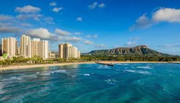 Bet the NFL Playoffs Online From Hawaii