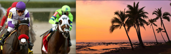 Where Can I Bet the Preakness Stakes From Hawaii