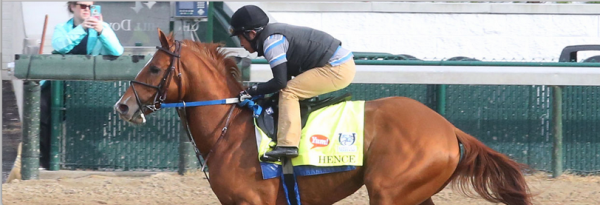 What Are the Current Odds of Hence Winning the Preakness Stakes