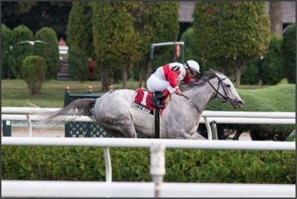 Long Island Handicap 2012 Betting Odds – Aqueduct November 10 Races Long Island Handicap 2012 Betting Odds – Aqueduct November 10 Races