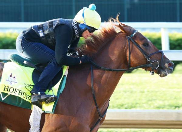 Odds on Hofburg Winning This Year's Kentucky Derby 