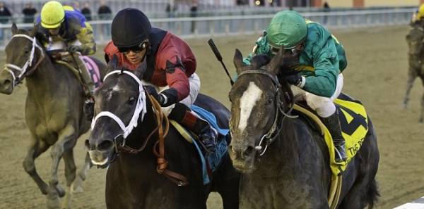 Honor Code Current Odds to Win 2015 Breeders Cup Classic
