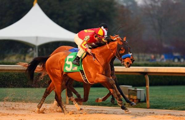 Hoppertunity Kentucky Derby Odds:  One Stat That Seriously Goes Against Him