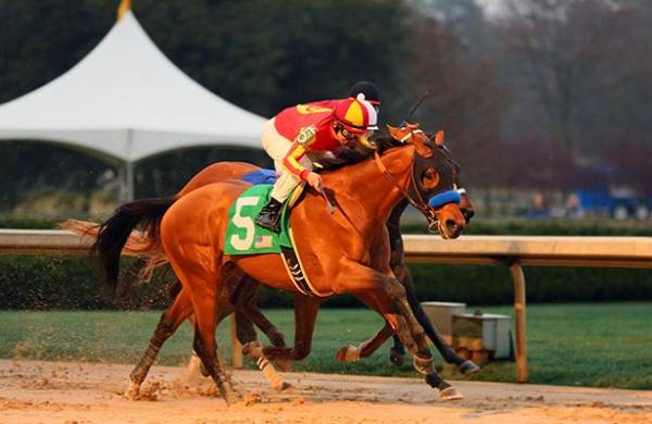 Hoppertunity Kentucky Derby Odds: One Stat That Seriously Goes Against Him Hoppertunity Kentucky Derby Odds: One Stat That Seriously Goes Against Him