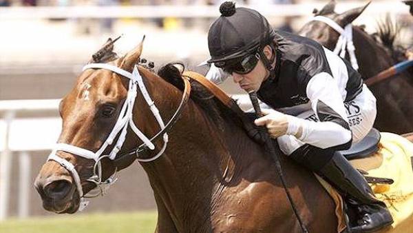 Cancelled Big Bet at Del Mar Just Before Race Leads to Probe 