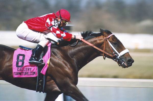 Lecomte Stakes 2014 Betting Odds Lecomte Stakes 2014 Betting Odds