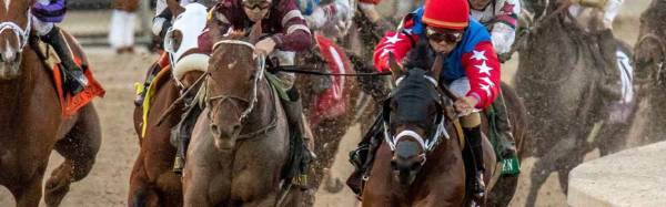 2017 Fountain of Youth Stakes Betting Odds 