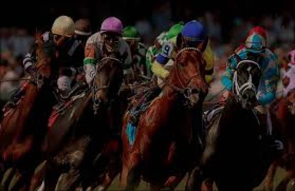 Master Plan Odds to Win 2017 Kentucky Derby 