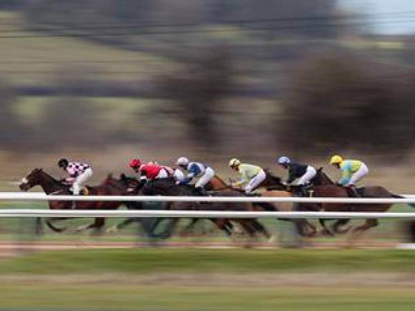 Watch Horse Racing Online Live