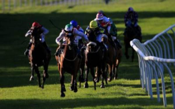 Odds of a Horse Winning the Triple Crown in 2012 Odds of a Horse Winning the Triple Crown in 2012