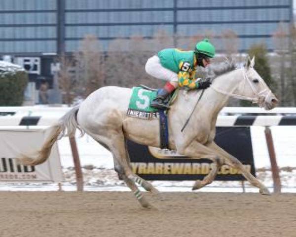 Luckity: Churchill Downs New Way to Bet the Horses Online Luckity: Churchill Downs New Way to Bet the Horses Online