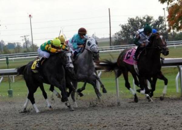 Autumn Meeting at Keeneland 2011 Odds Autumn Meeting at Keeneland 2011 Odds