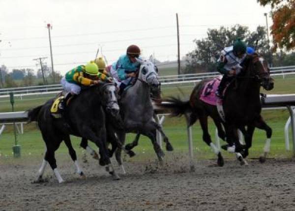 Autumn Meeting at Keeneland 2011 Odds