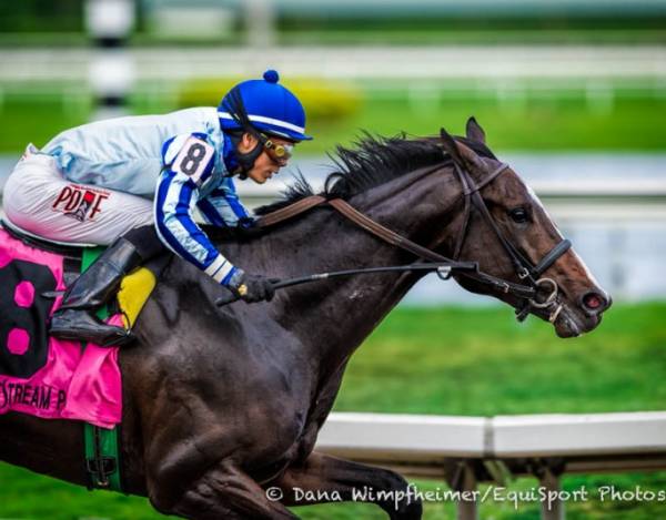 2015 Florida Derby Betting Odds: Upstart, Materiality Favorites  