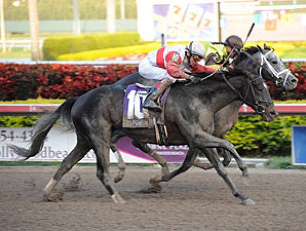 Hymn Book Wins Donn Handicap