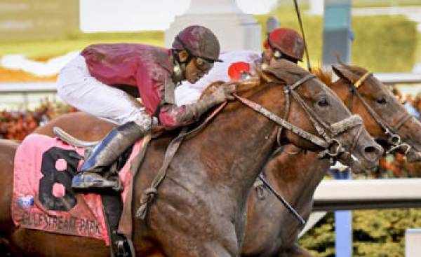 Ice Box Belmont Stakes