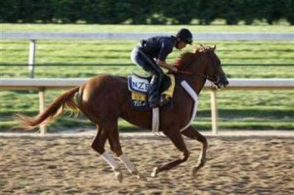 Ice Box Belmont Stakes