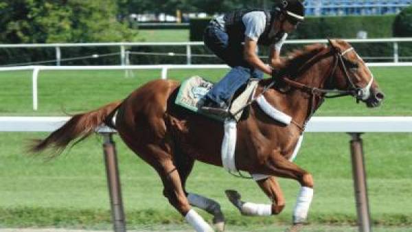 Belmont Stakes 2012 Weather Forecast: Horses That Run Best in Mud Belmont Stakes 2012 Weather Forecast: Horses That Run Best in Mud