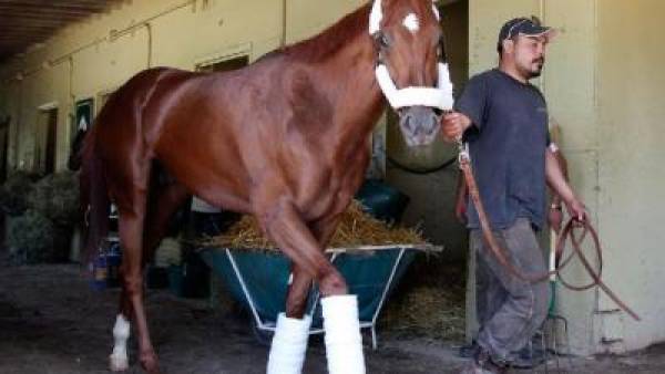 I’ll Have Another Pays Near Even Odds to Win 2012 Belmont Stakes I’ll Have Another Pays Near Even Odds to Win 2012 Belmont Stakes