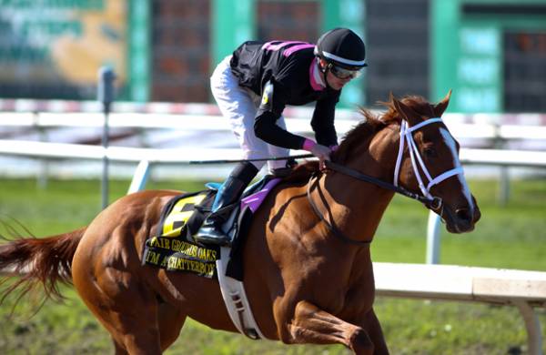 Odds to Win the 2015 Kentucky Oaks: I’m A Chatterbox, Stellar Wind Favored Odds to Win the 2015 Kentucky Oaks: I’m A Chatterbox, Stellar Wind Favored