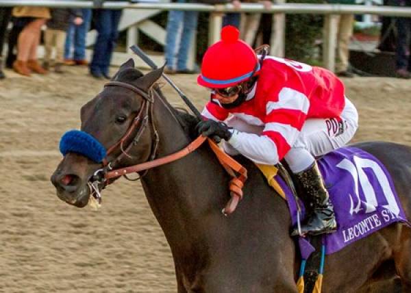 Instilled Regard Payout Odds - 2018 Kentucky Derby 