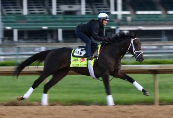 Bet Online 2014 Kentucky Derby Odds: Intense Holiday Price Slashed Bet Online 2014 Kentucky Derby Odds: Intense Holiday Price Slashed